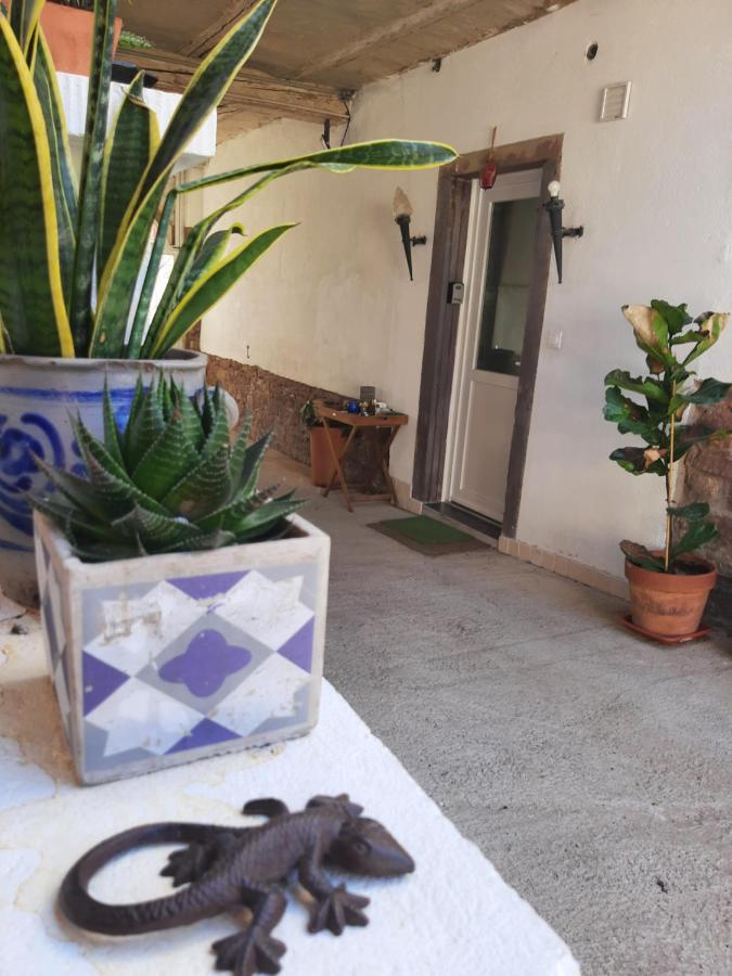 Studio Tout Confort 2 Personnes Au Coeur De L'Alsace Wolxheim Exteriör bild