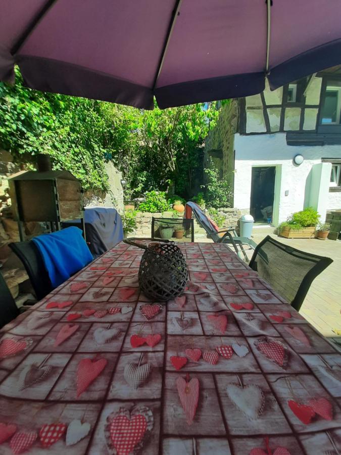 Studio Tout Confort 2 Personnes Au Coeur De L'Alsace Wolxheim Exteriör bild
