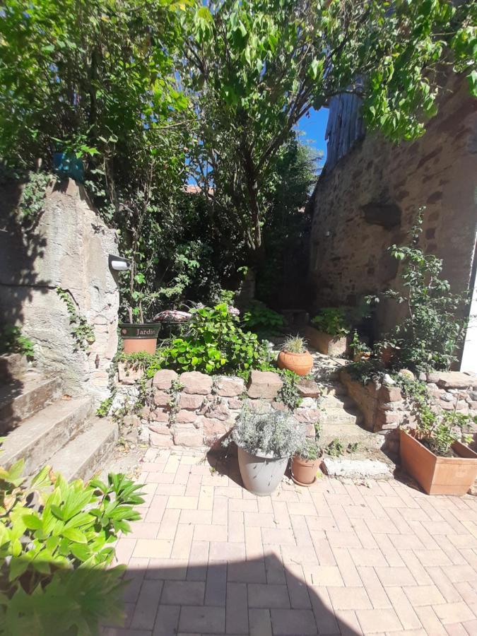 Studio Tout Confort 2 Personnes Au Coeur De L'Alsace Wolxheim Exteriör bild