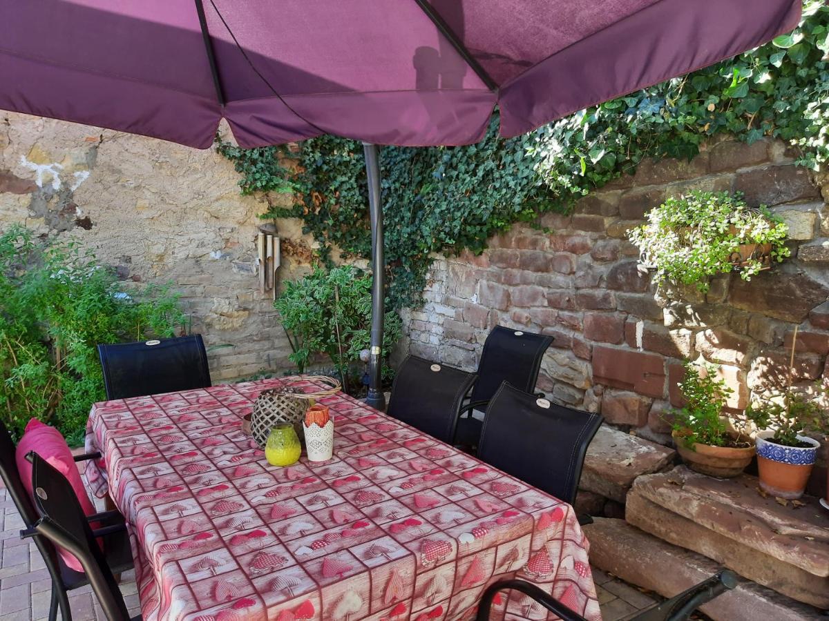 Studio Tout Confort 2 Personnes Au Coeur De L'Alsace Wolxheim Exteriör bild