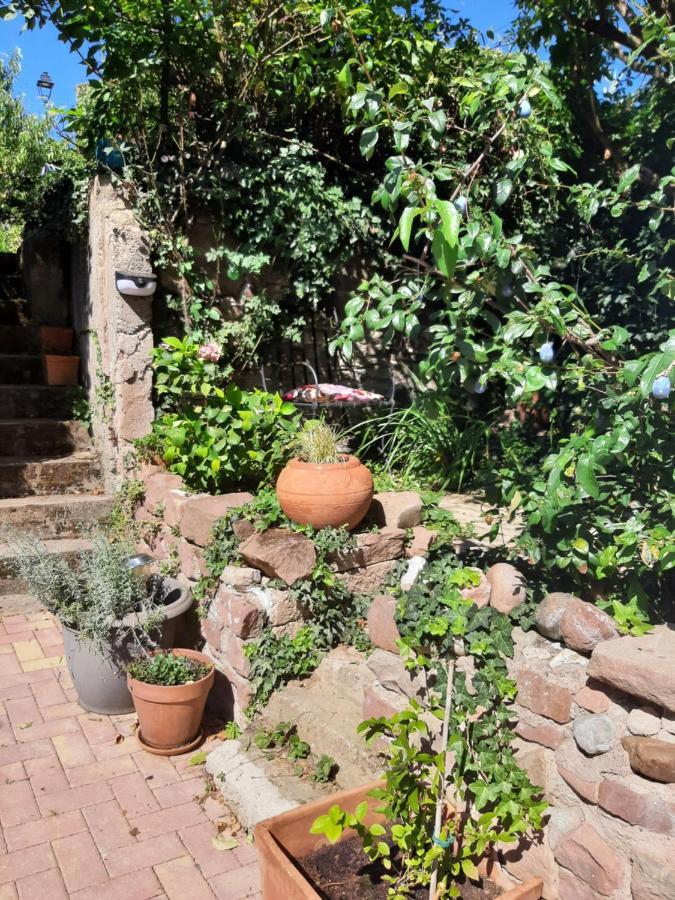 Studio Tout Confort 2 Personnes Au Coeur De L'Alsace Wolxheim Exteriör bild