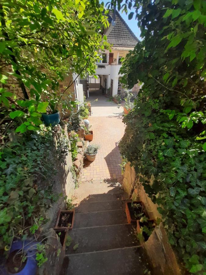 Studio Tout Confort 2 Personnes Au Coeur De L'Alsace Wolxheim Exteriör bild