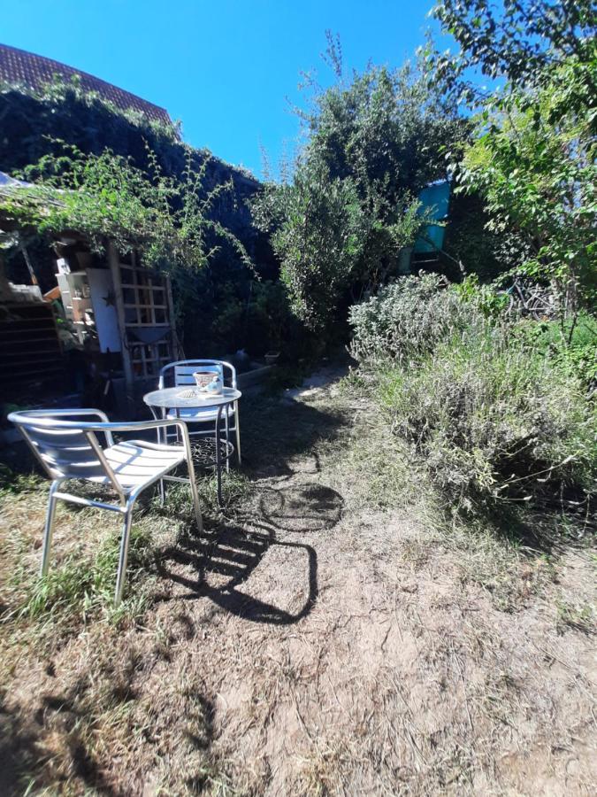 Studio Tout Confort 2 Personnes Au Coeur De L'Alsace Wolxheim Exteriör bild
