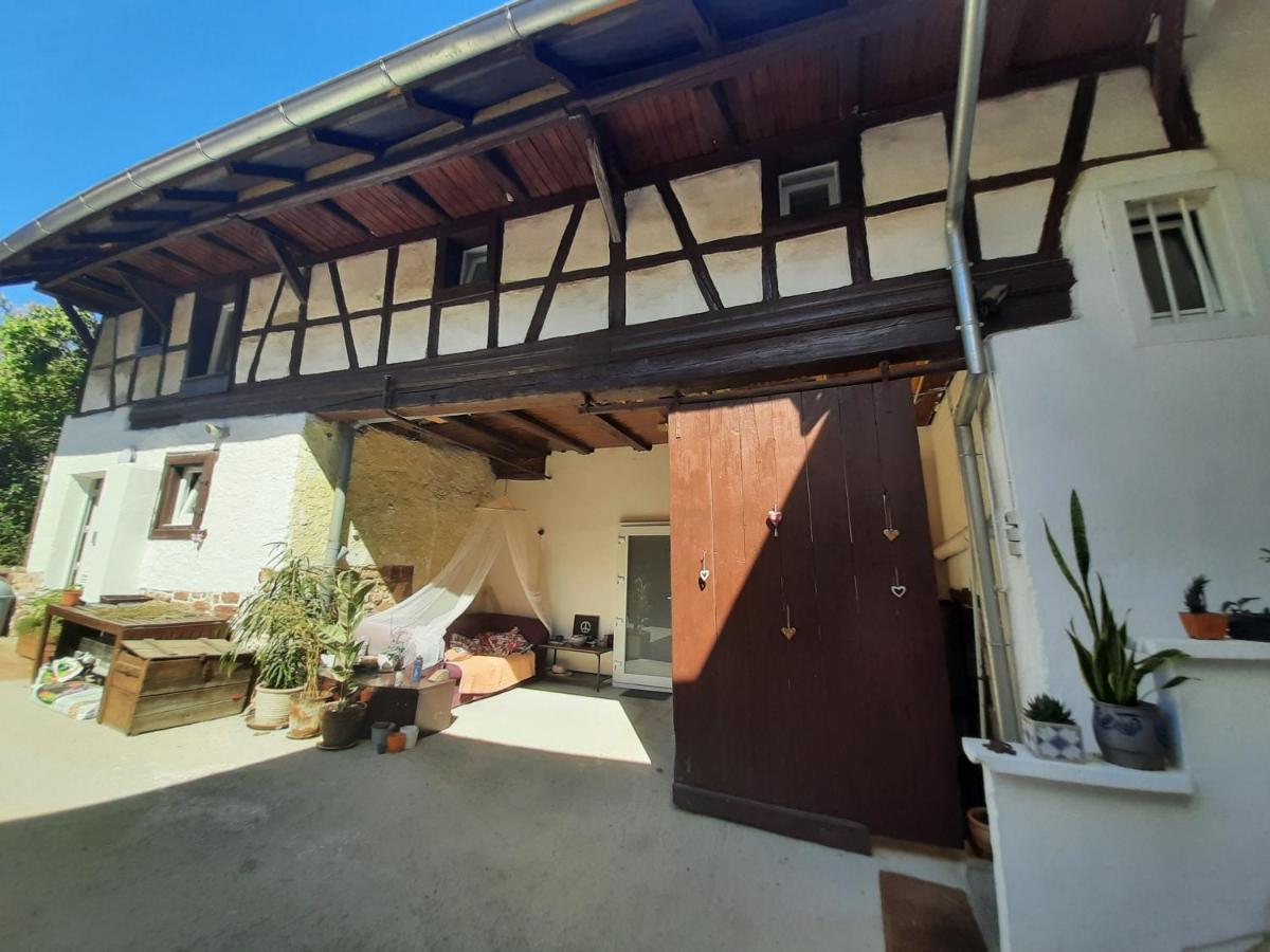 Studio Tout Confort 2 Personnes Au Coeur De L'Alsace Wolxheim Exteriör bild