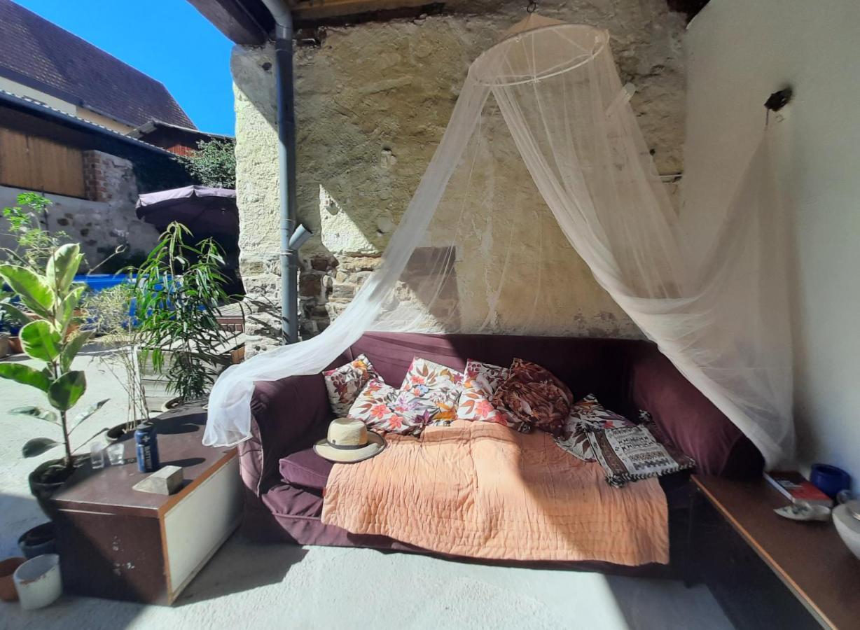Studio Tout Confort 2 Personnes Au Coeur De L'Alsace Wolxheim Exteriör bild