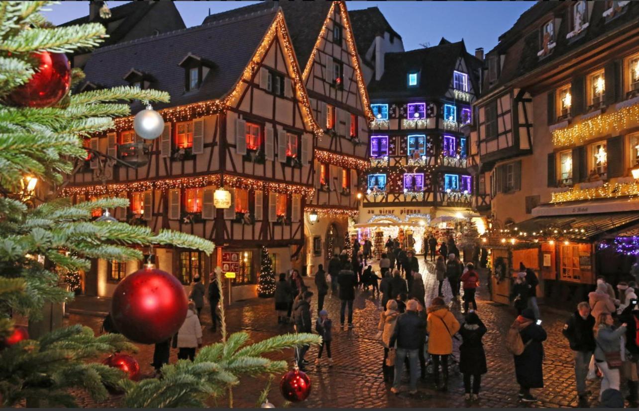 Studio Tout Confort 2 Personnes Au Coeur De L'Alsace Wolxheim Exteriör bild