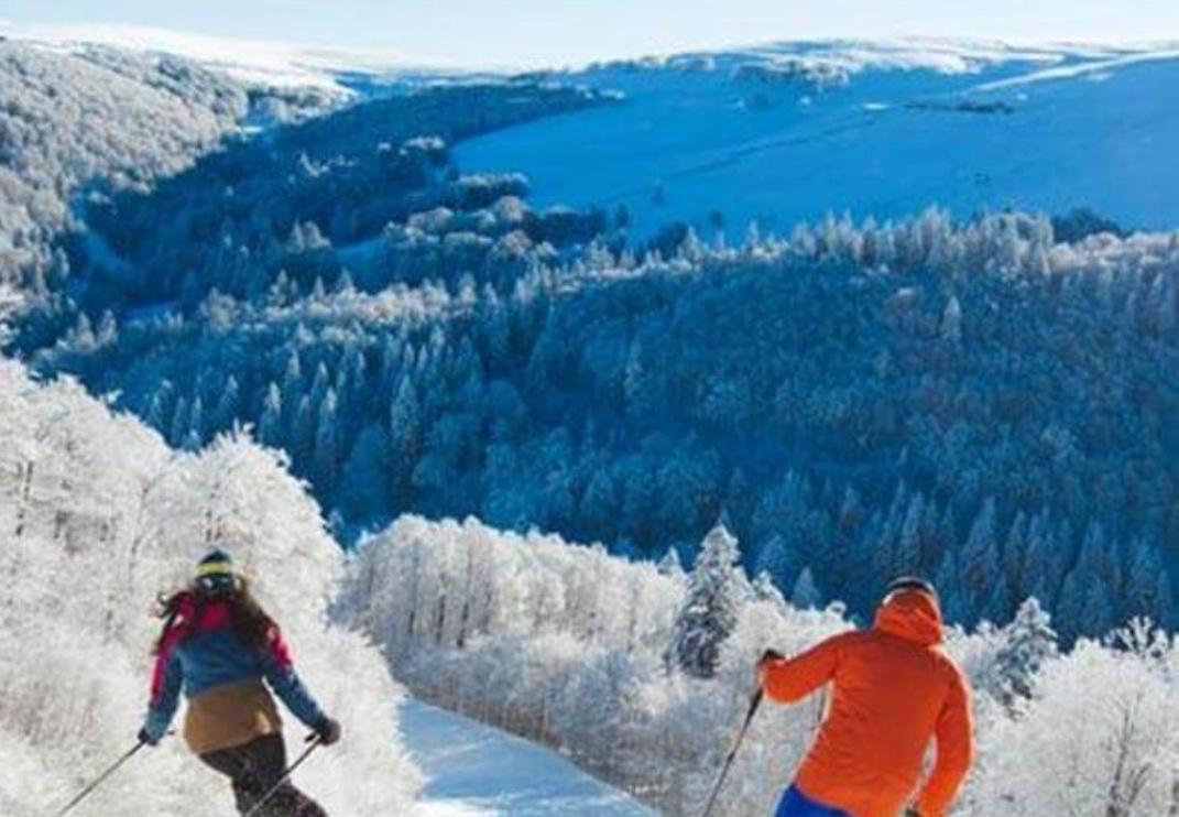 Studio Tout Confort 2 Personnes Au Coeur De L'Alsace Wolxheim Exteriör bild