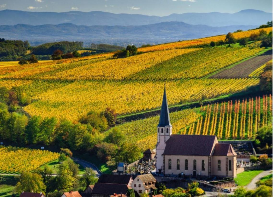 Studio Tout Confort 2 Personnes Au Coeur De L'Alsace Wolxheim Exteriör bild