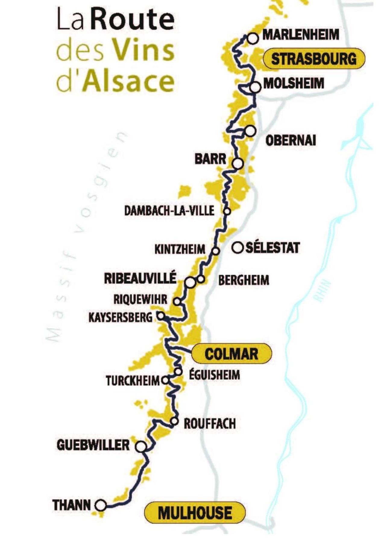 Studio Tout Confort 2 Personnes Au Coeur De L'Alsace Wolxheim Exteriör bild