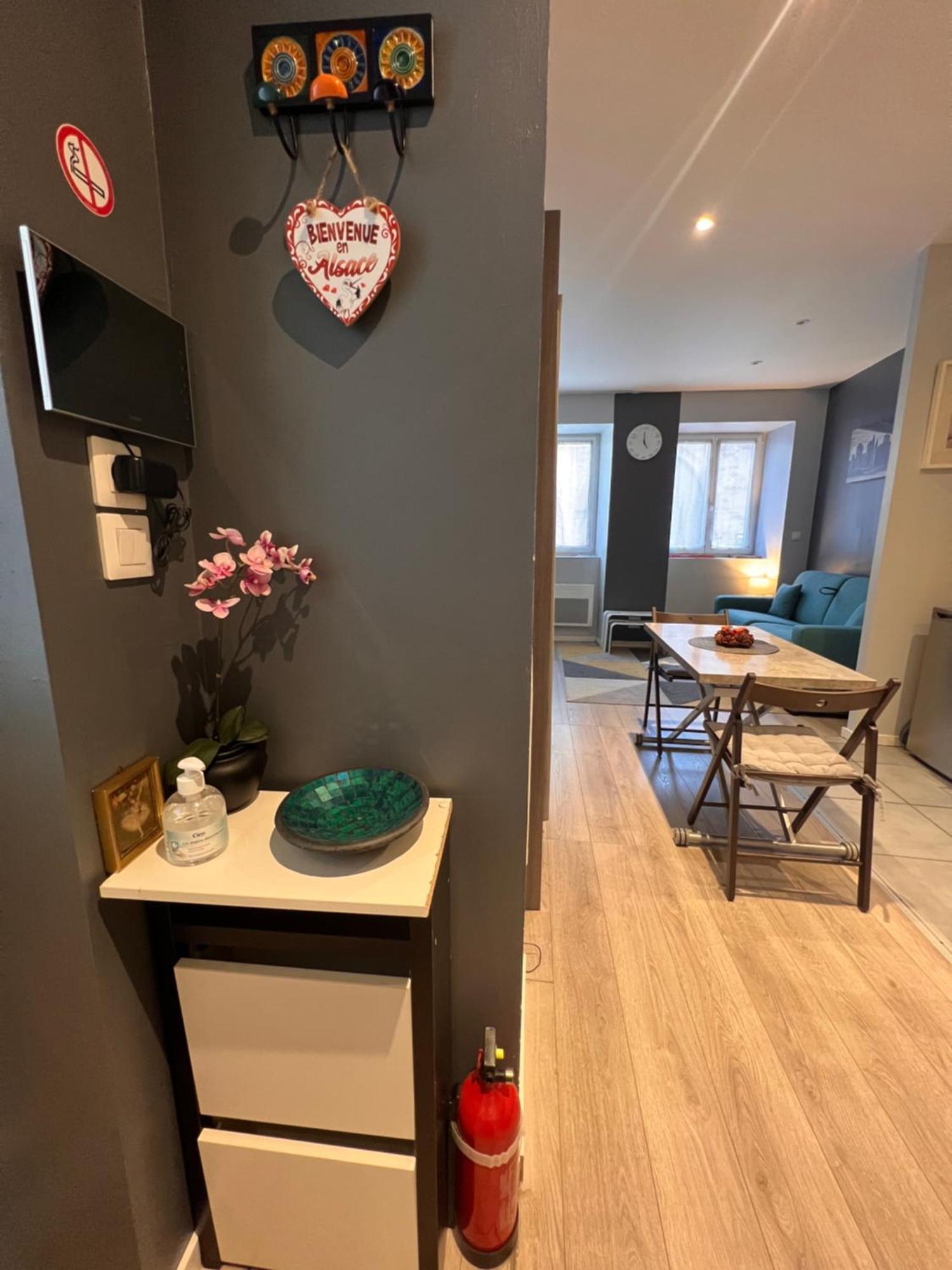 Studio Tout Confort 2 Personnes Au Coeur De L'Alsace Wolxheim Exteriör bild